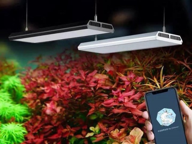 aquarium led